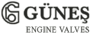 Gunes